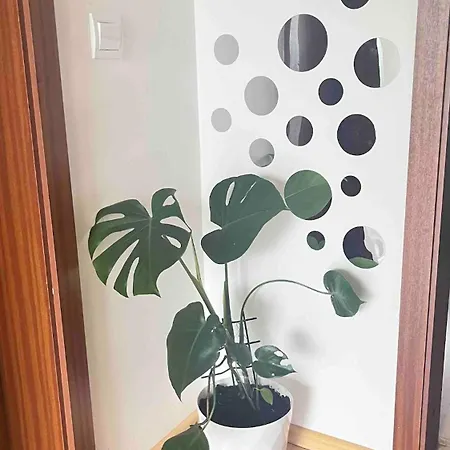 Апартаменты Happyland Family